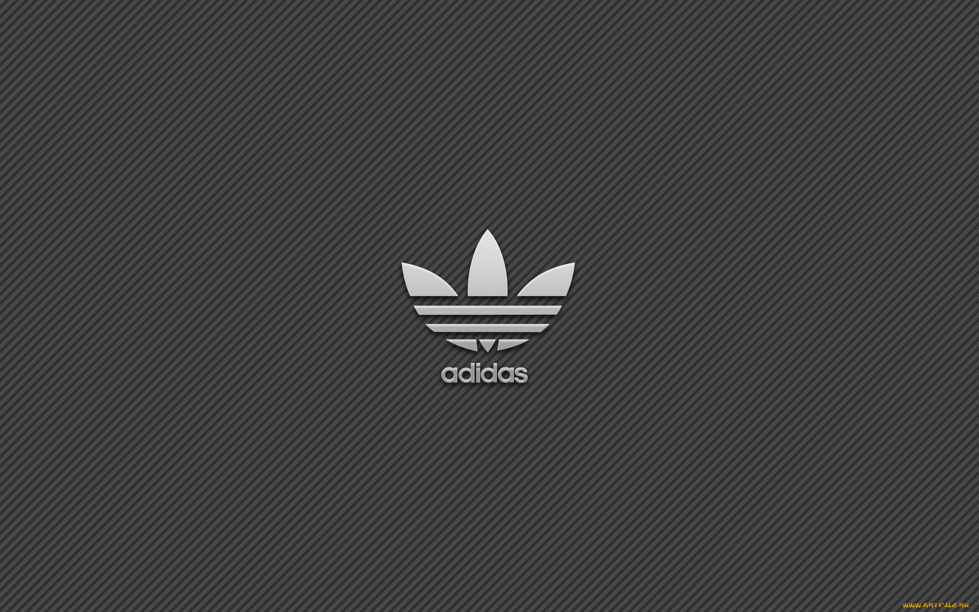 , adidas, , 